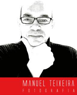 Orador Summit - Manuel Texeira
